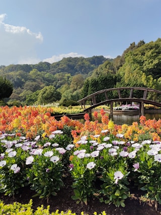 a bridge over a river surrounded by lots of flowers