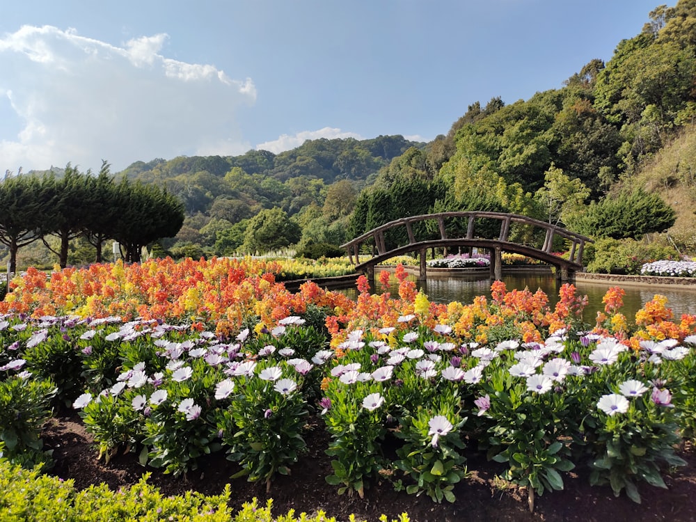 たくさんの花に囲まれた川に架かる橋