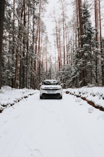 A white SUV parked on a scenic road surrounded by trees.
