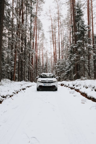 A white SUV parked on a scenic road surrounded by trees.