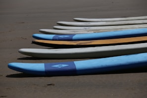 Surfboards lined up on the sand ready for rental.