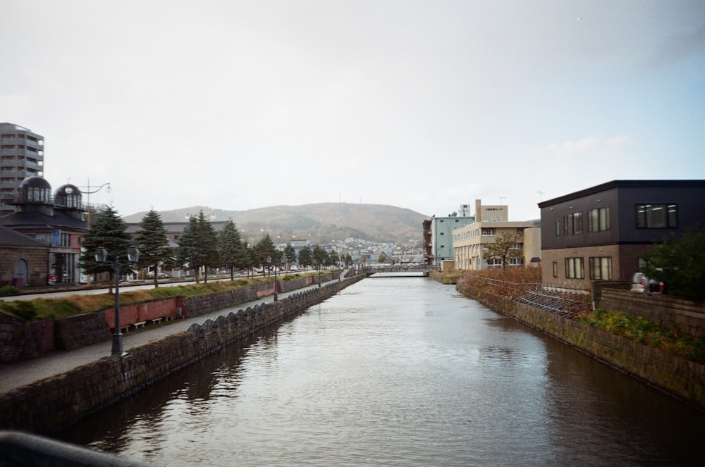 river between concrete buildings under white sky during daytime