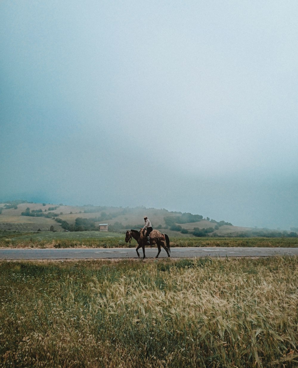 man riding horse on green grass field during daytime