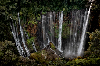 water falls in the forest
