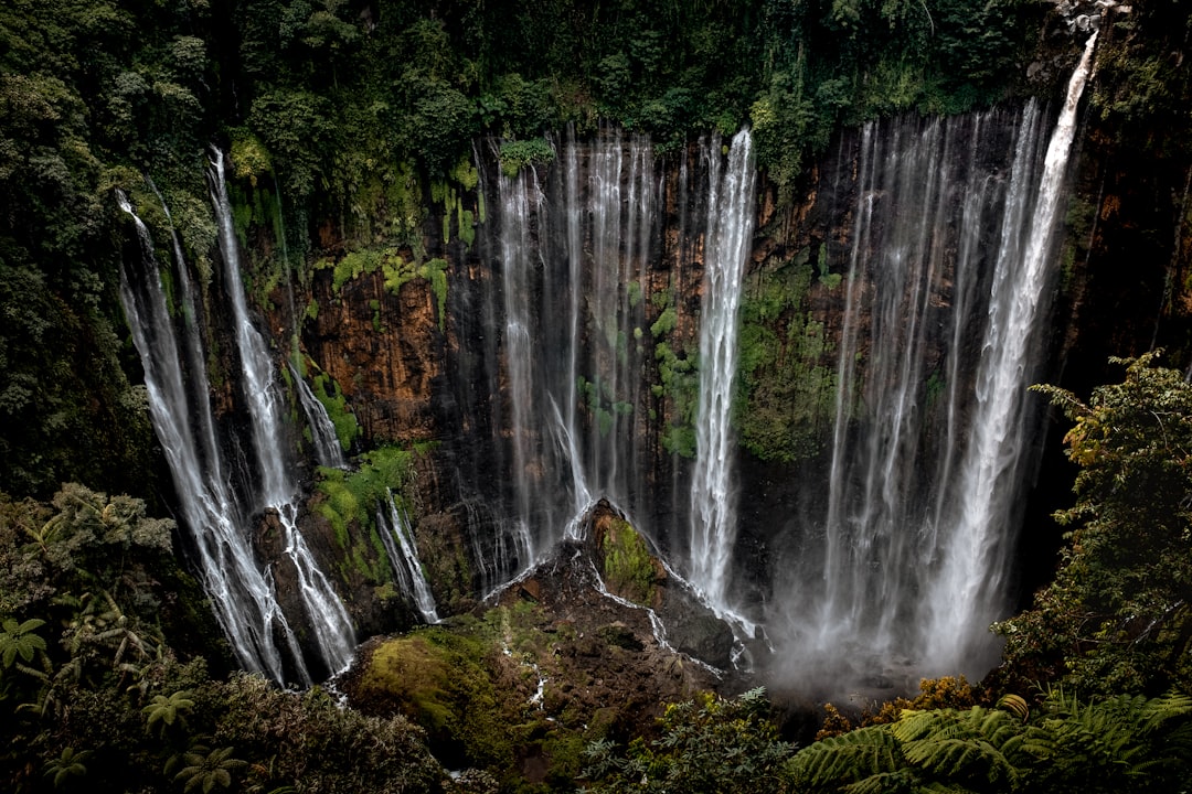 water falls in the forest