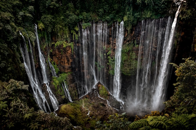 Aliran air di hutan dekat lokasi trekking Tumpak Sewu Lumajang
