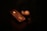 A smartphone is held in a hand against a dark background. The device is illuminated by a warm light source reflecting off its surface, prominently displaying the brand logo. The scene is dimly lit, creating a cozy and intimate atmosphere.
