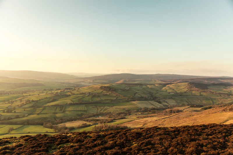Longridge Hill Farm