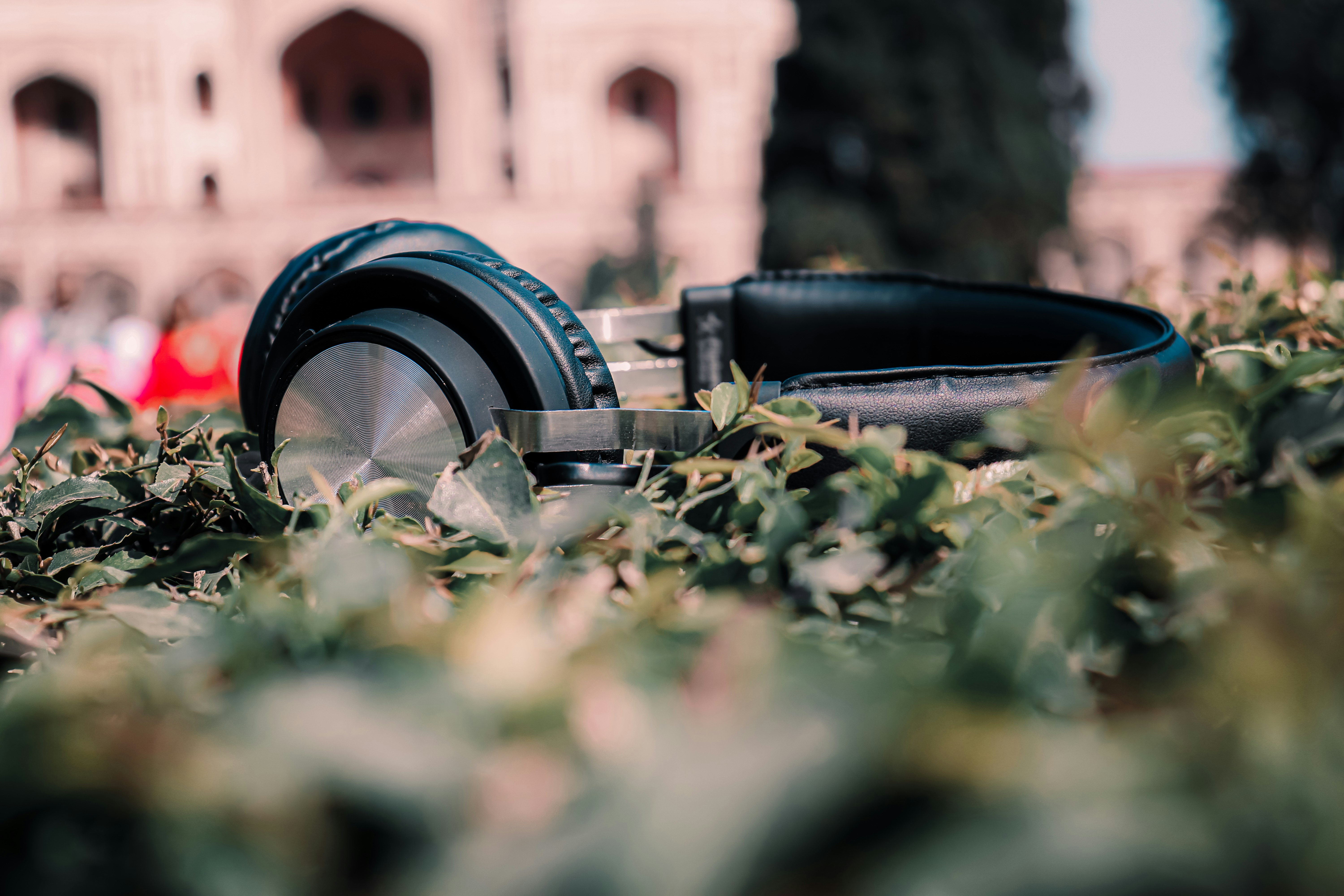 black and silver dslr camera on green grass