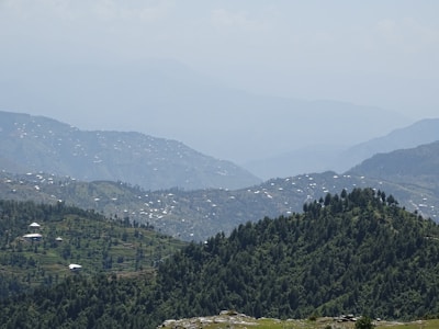 green trees on mountain during daytime