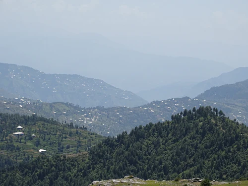 Patriata