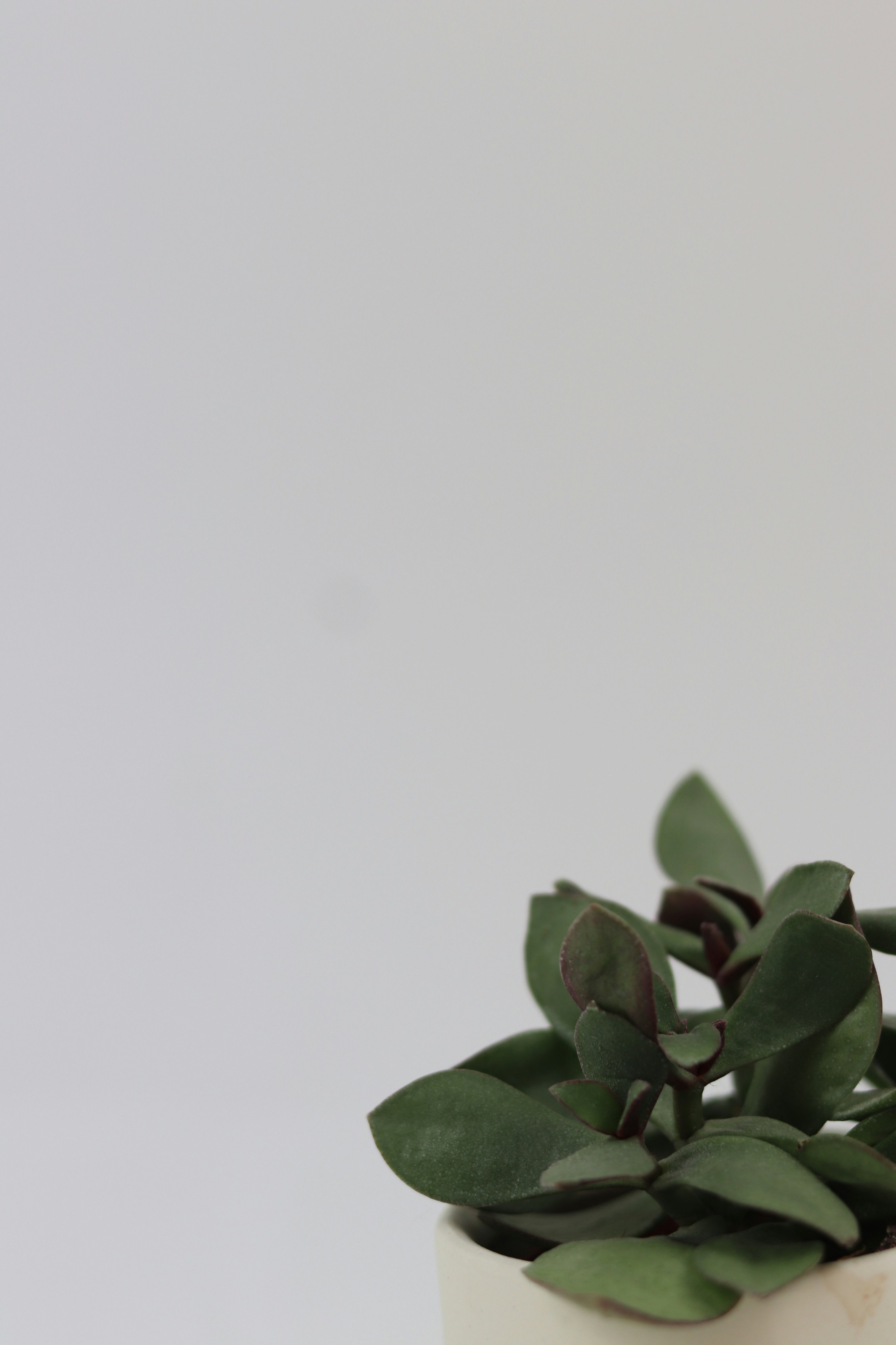 Photo by karlekstudio