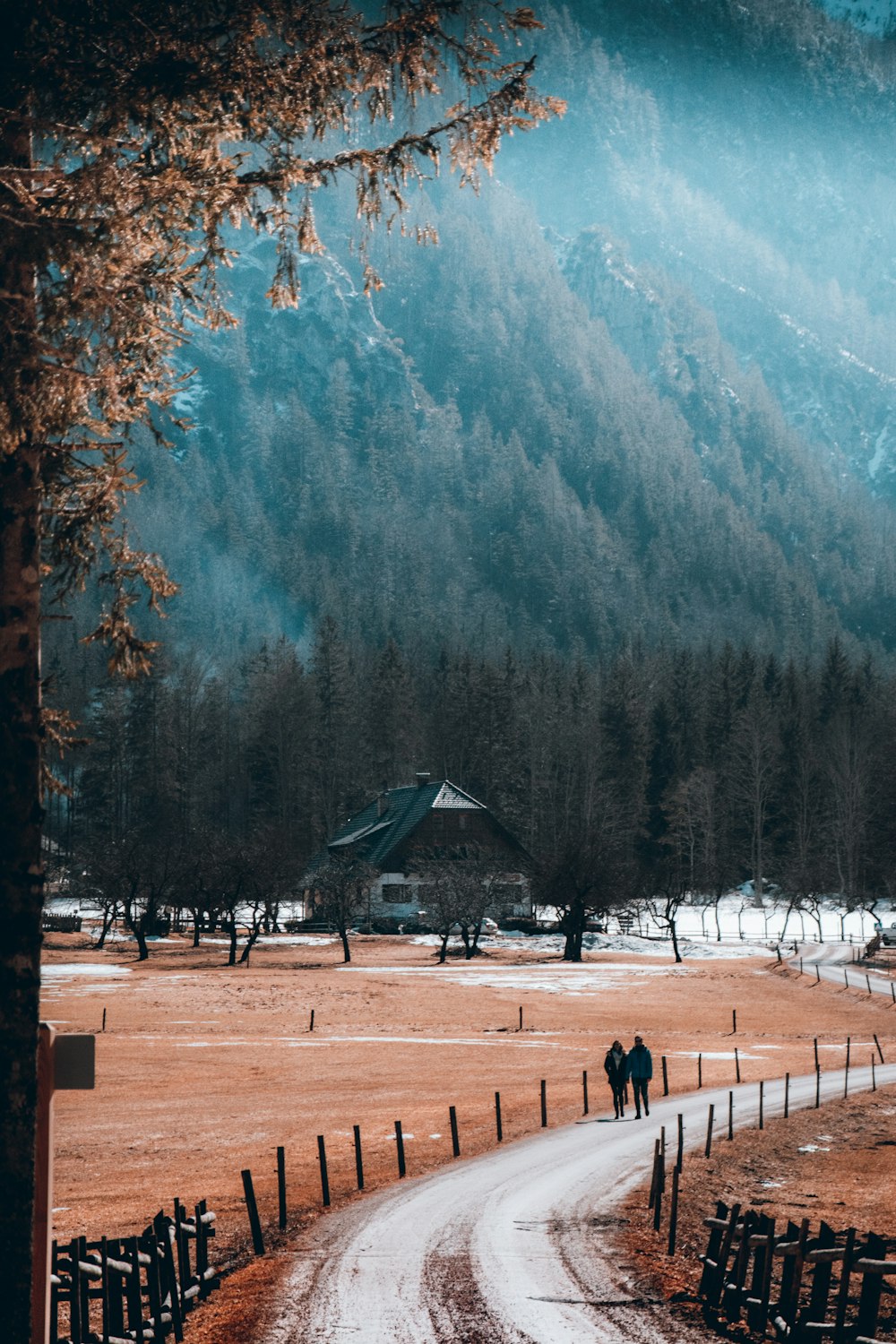 people walking on snow covered field near trees and mountain during daytime