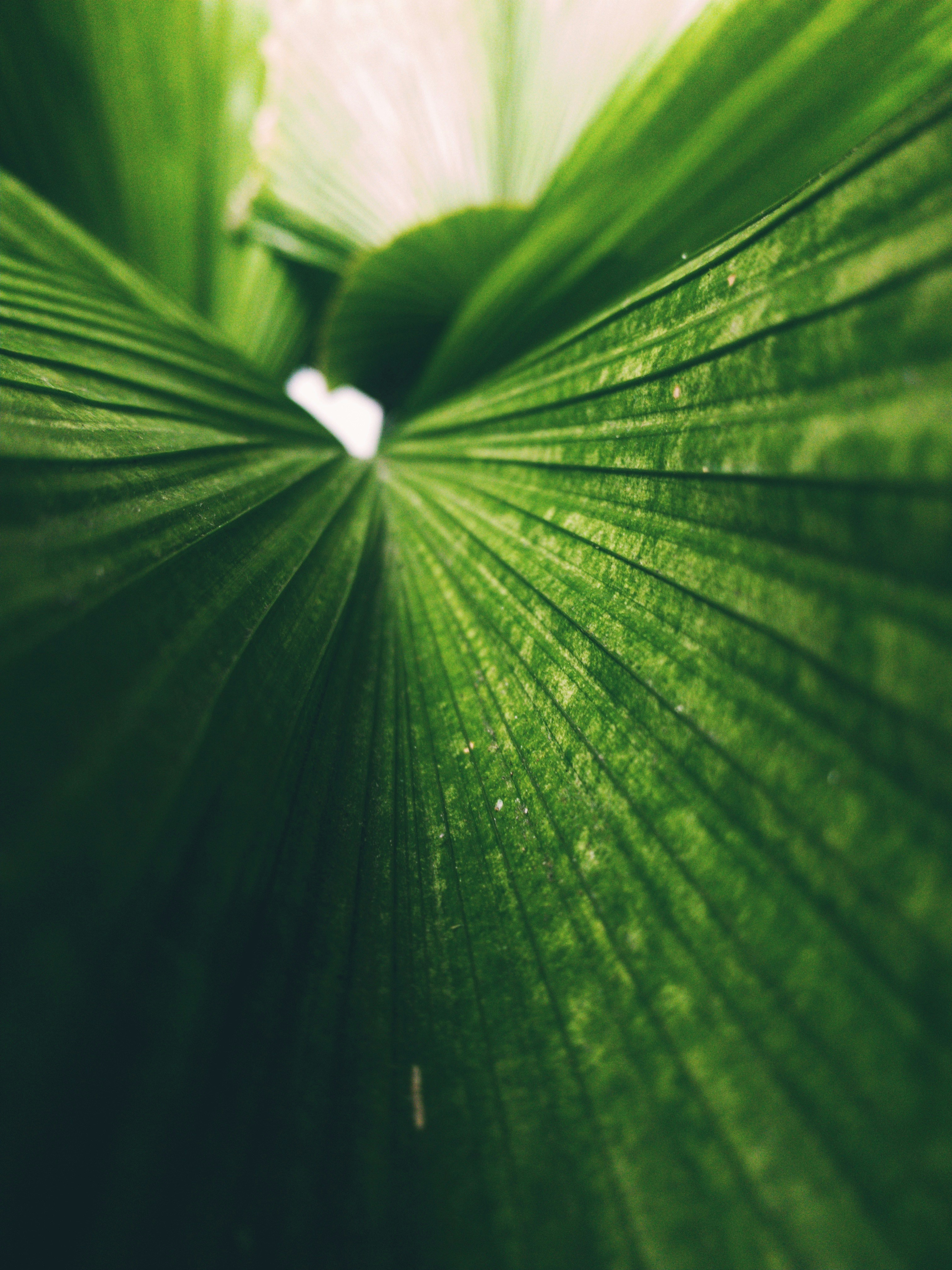 Photo by alishahlakhani