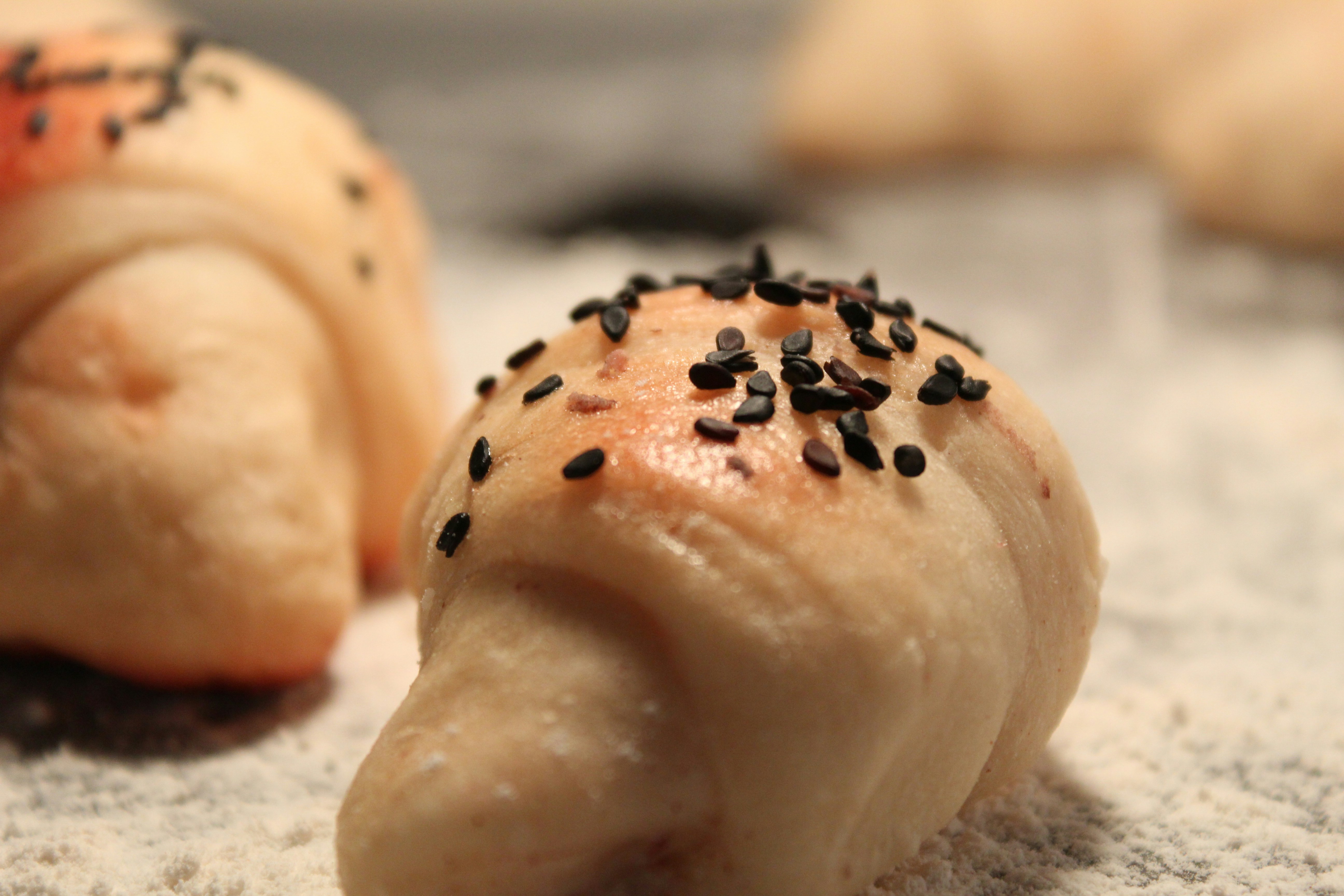 Photo by netographcapture