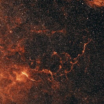 芒种