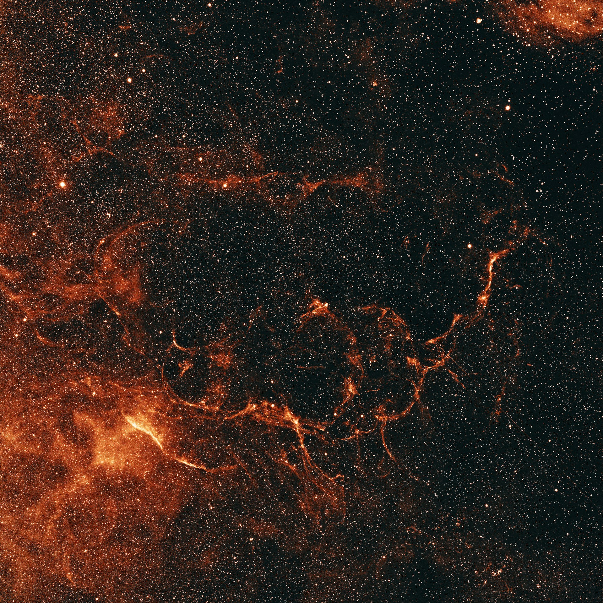 Fiamme