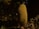 A large, textured, cylindrical, yellow fruit hangs from a tree, surrounded by foliage. The surface of the fruit is covered with small, bun-shaped protrusions. The lighting suggests a natural setting, possibly in a tropical or subtropical forest.