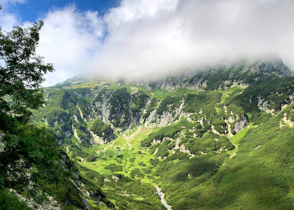 Grüne Berge unter blauem Himmel und weiße Wolken tagsüber