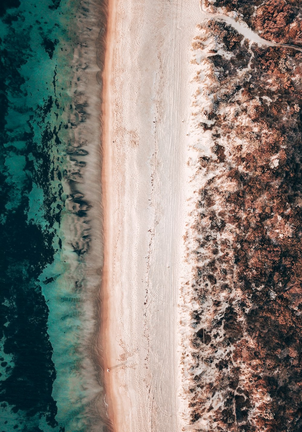 Luftaufnahme des Strandes während des Tages