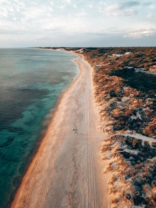 aerial view of beach during daytime