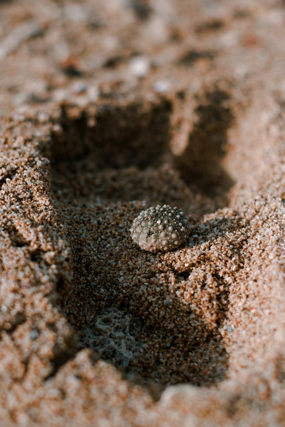 brown and gray stones on brown sand