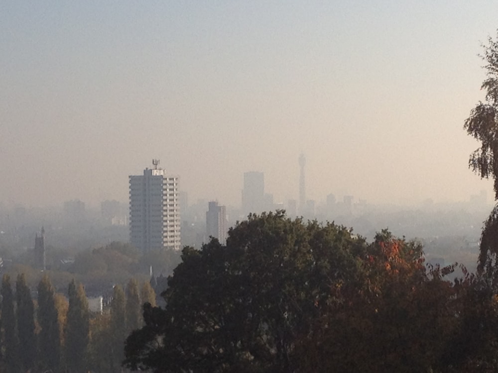 Árboles verdes cerca de los edificios de la ciudad durante el día