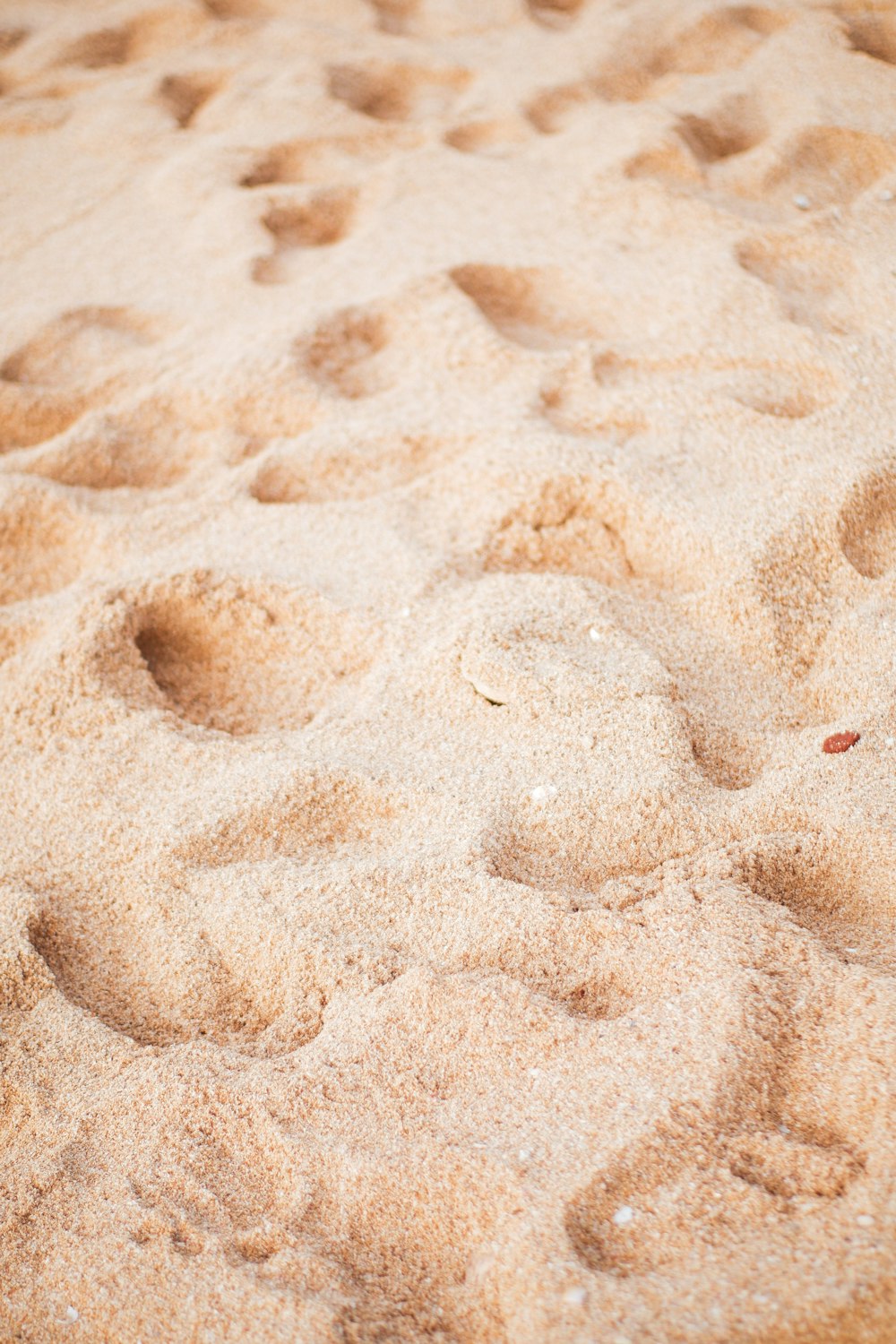 brown sand with heart shaped