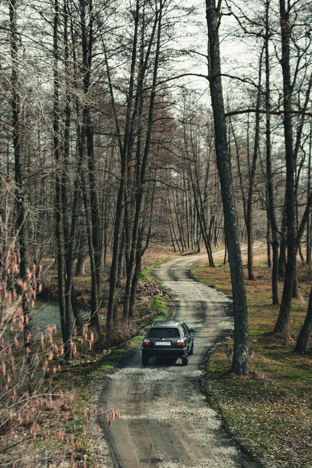 black car on road near bare trees during daytime
