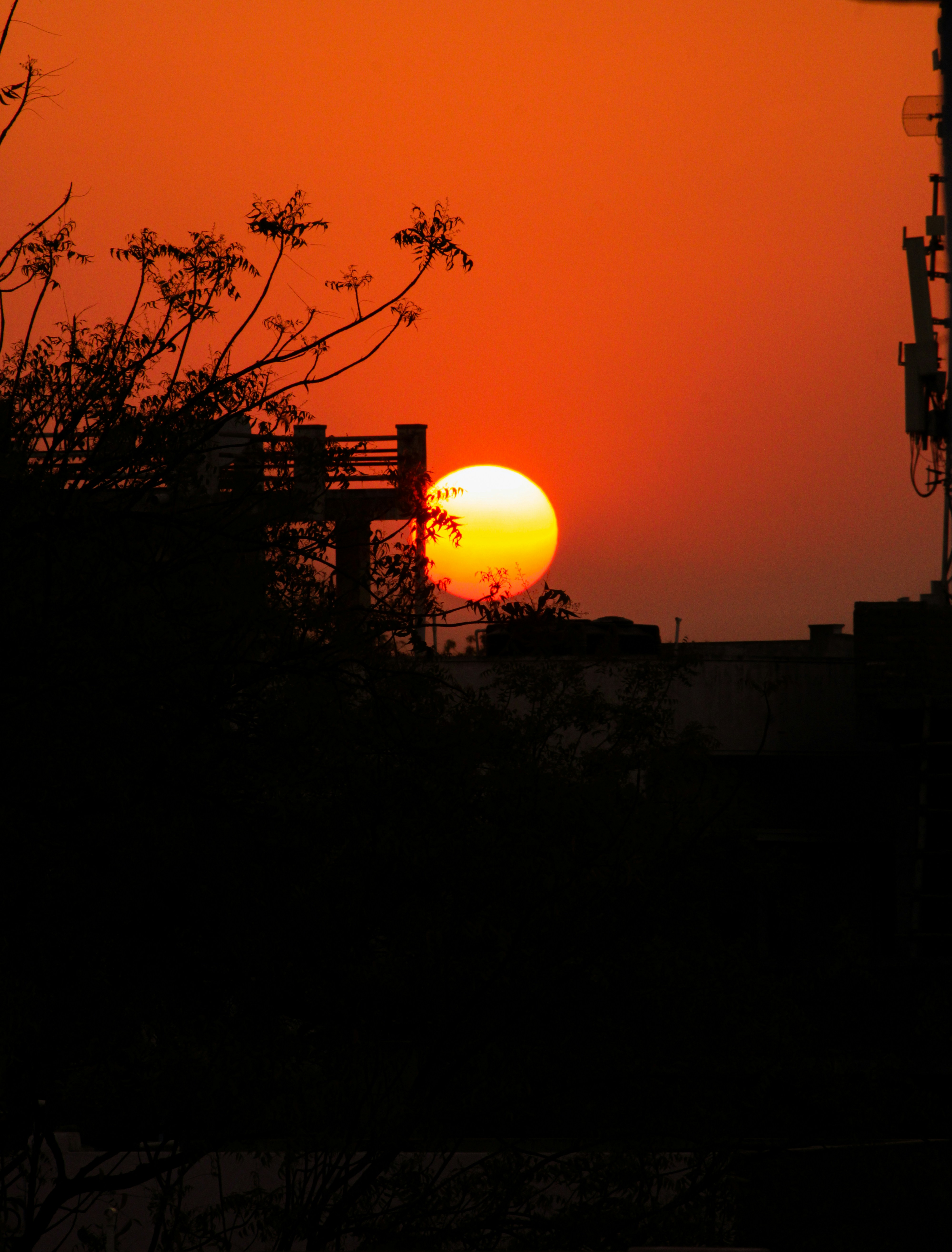 Photo by venkicenation