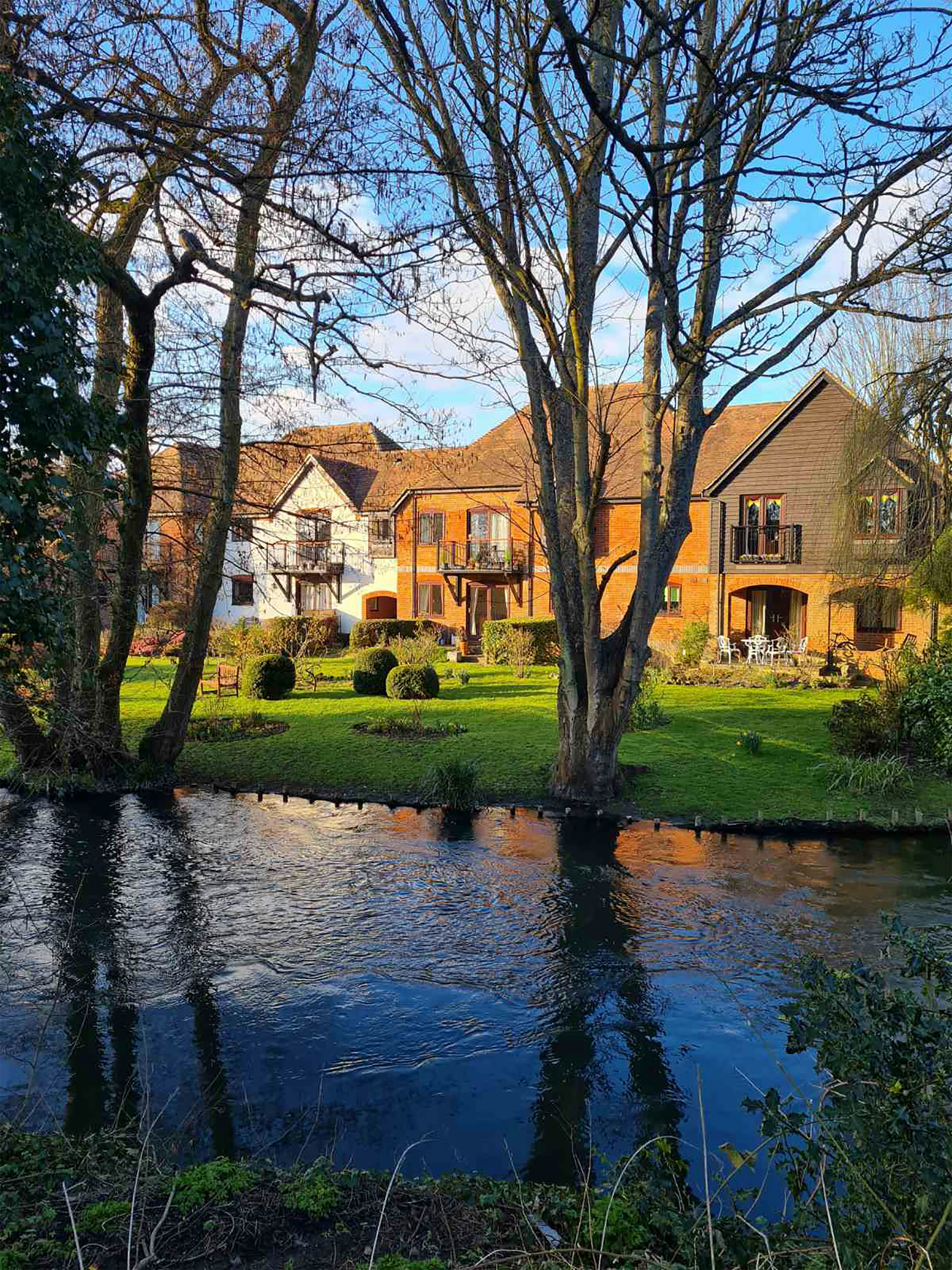 Photo by denise_brlb