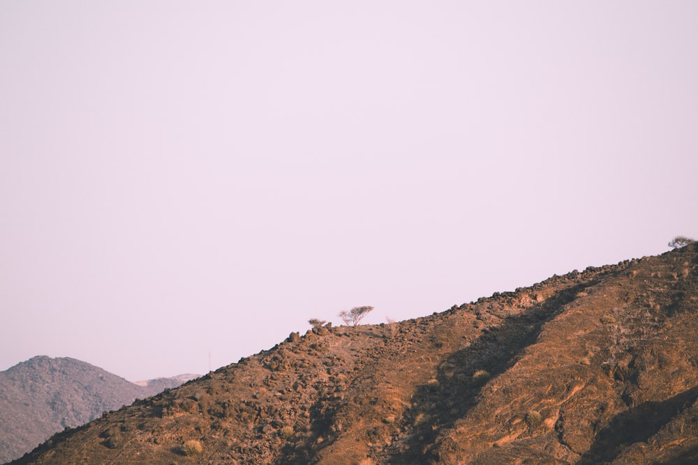 brown and green mountain under white sky during daytime