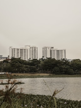 Several modern high-rise residential buildings stand behind a row of dense green trees. A calm body of water, with some plants and grass, is in the foreground, reflecting a subdued sky.