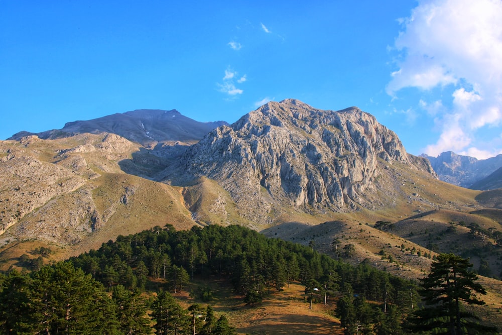 green trees on mountain under blue sky during daytime