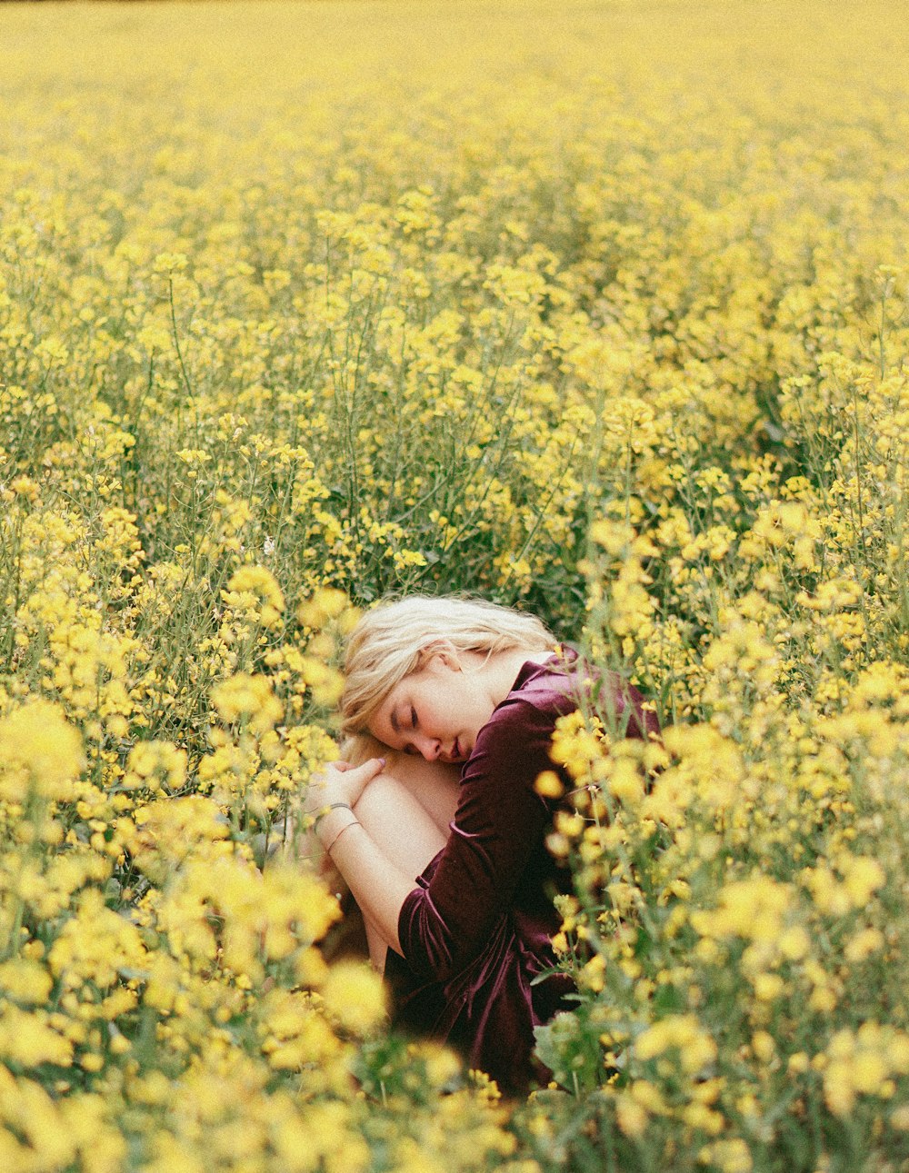 girl in pink shirt on yellow flower field during daytime