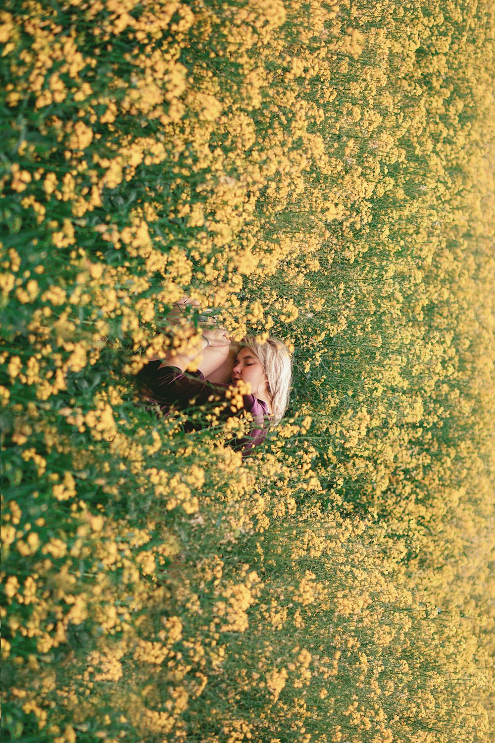 woman in pink long sleeve shirt lying on yellow flower field during daytime