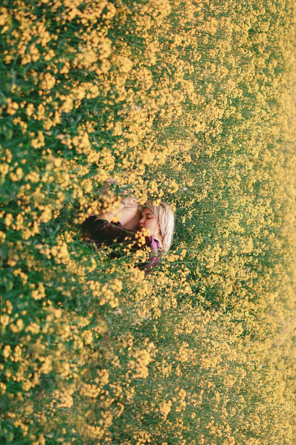 mulher na camisa rosa da manga comprida deitada no campo de flores amarelo durante o dia