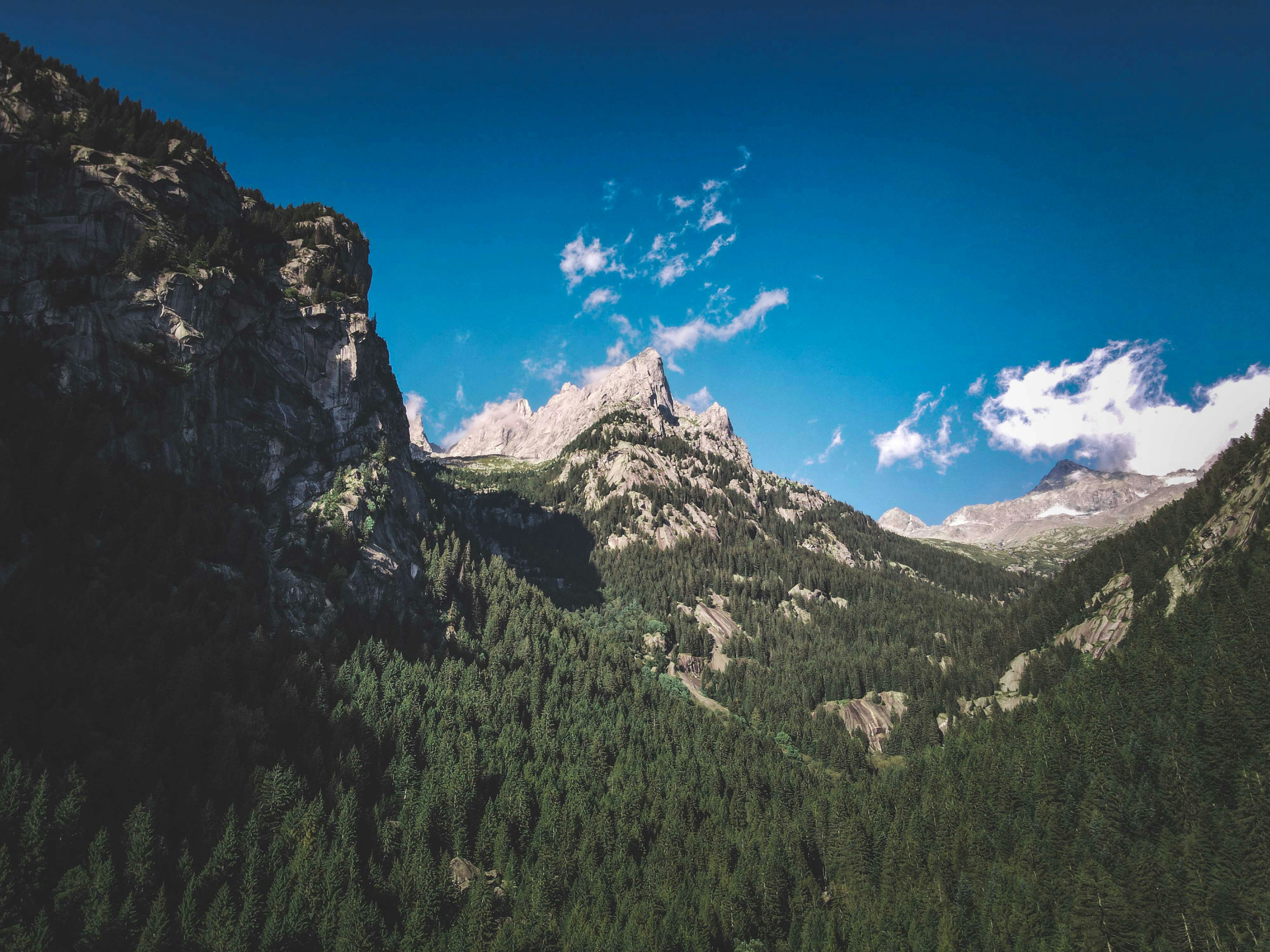 Photo by francesco_ungaro