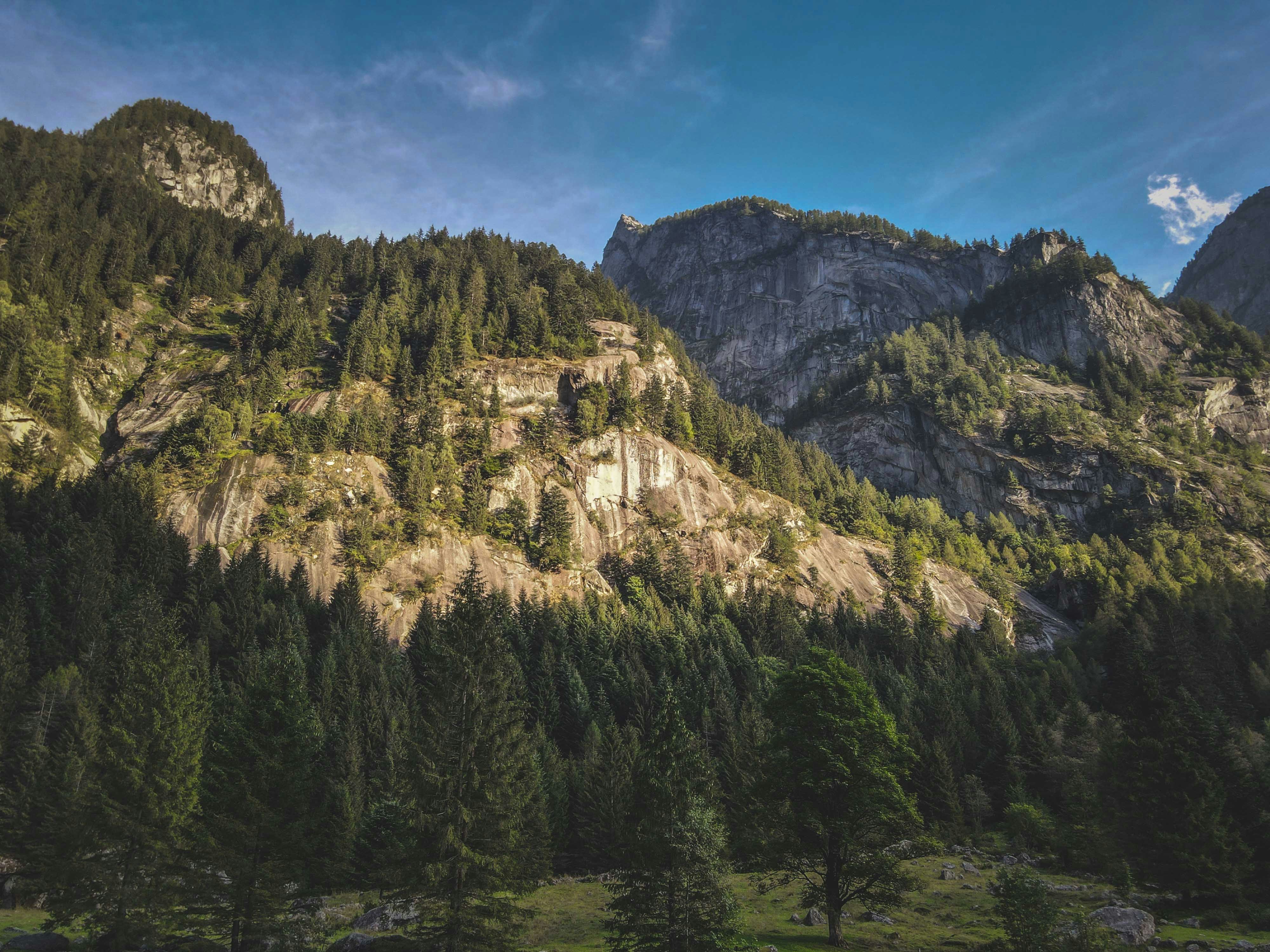 Photo by francesco_ungaro