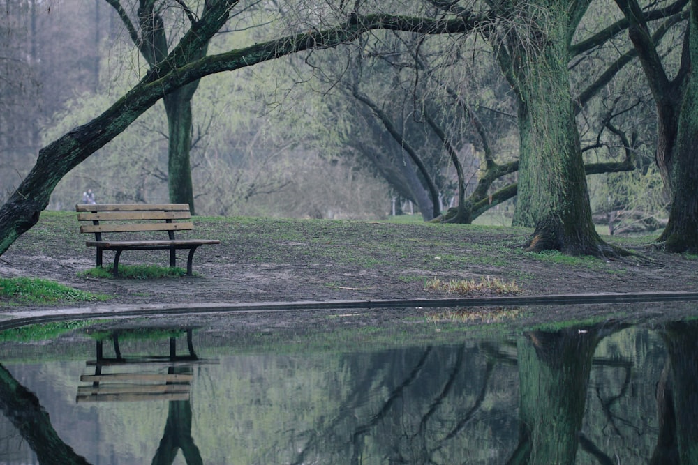 brown wooden bench near body of water during daytime