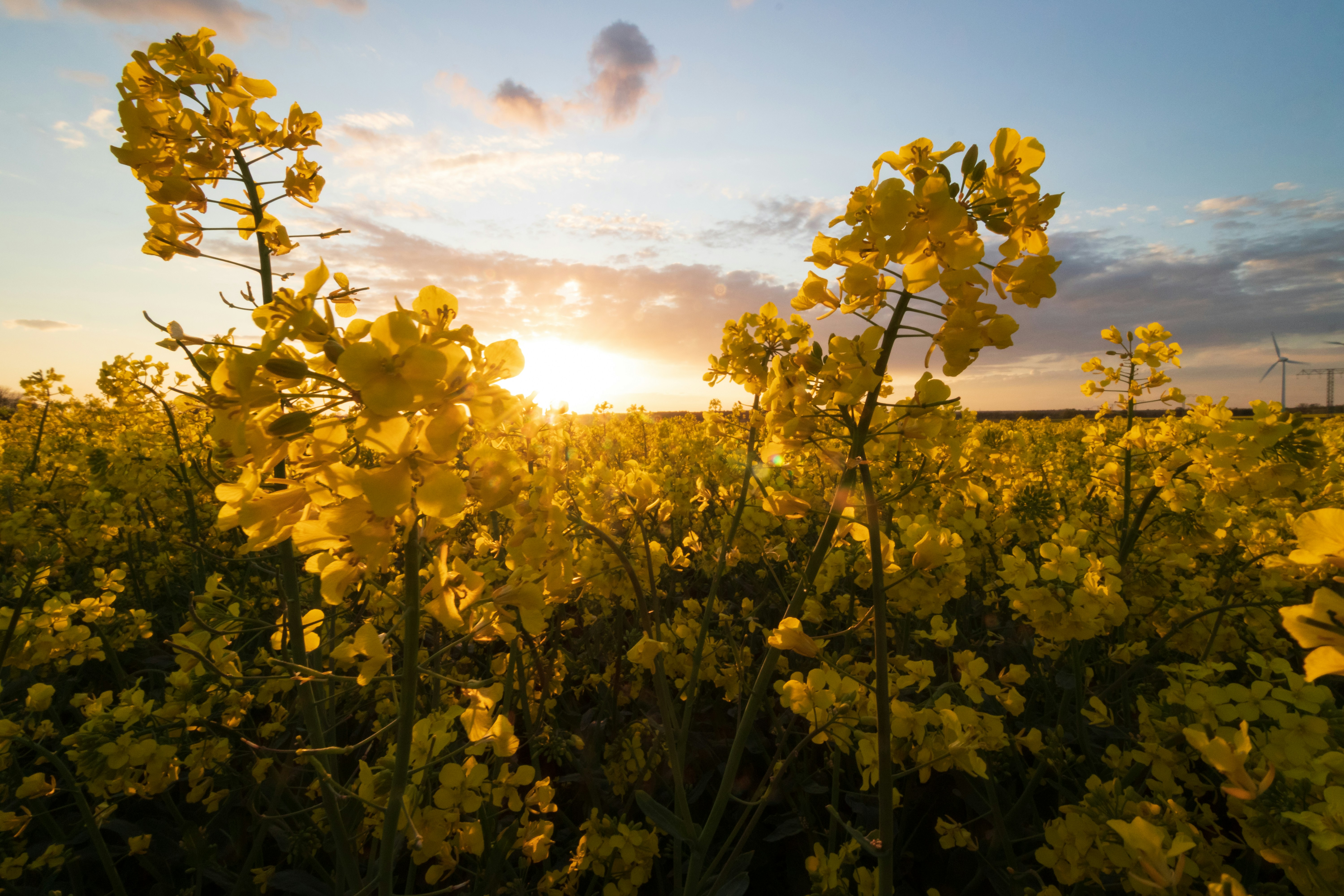 Photo by matthiaspens