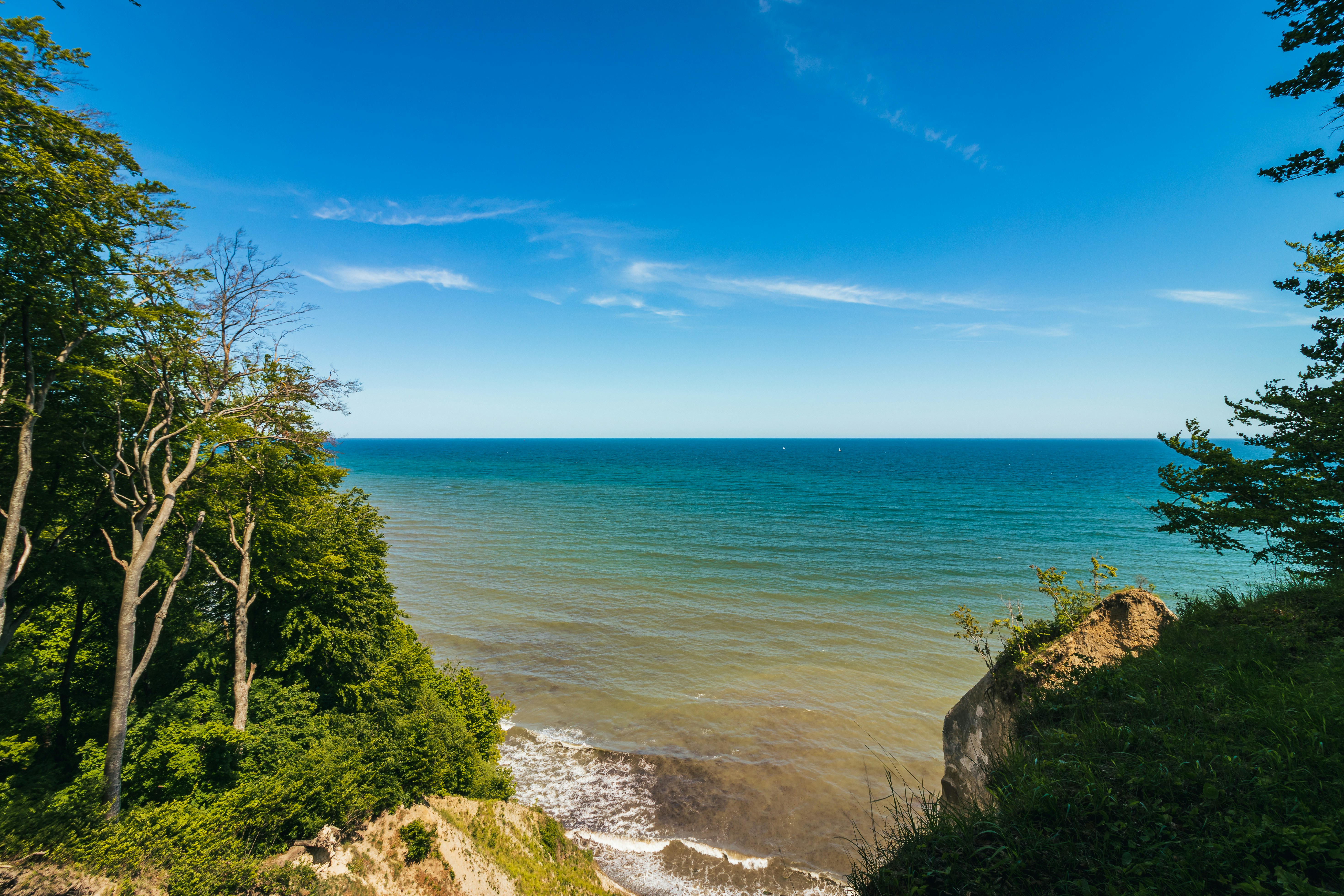 green trees near blue sea under blue sky during daytime, Blick auf die Ostsee von den Kreidefelsen im Nationalpark Jasmund auf Rügen