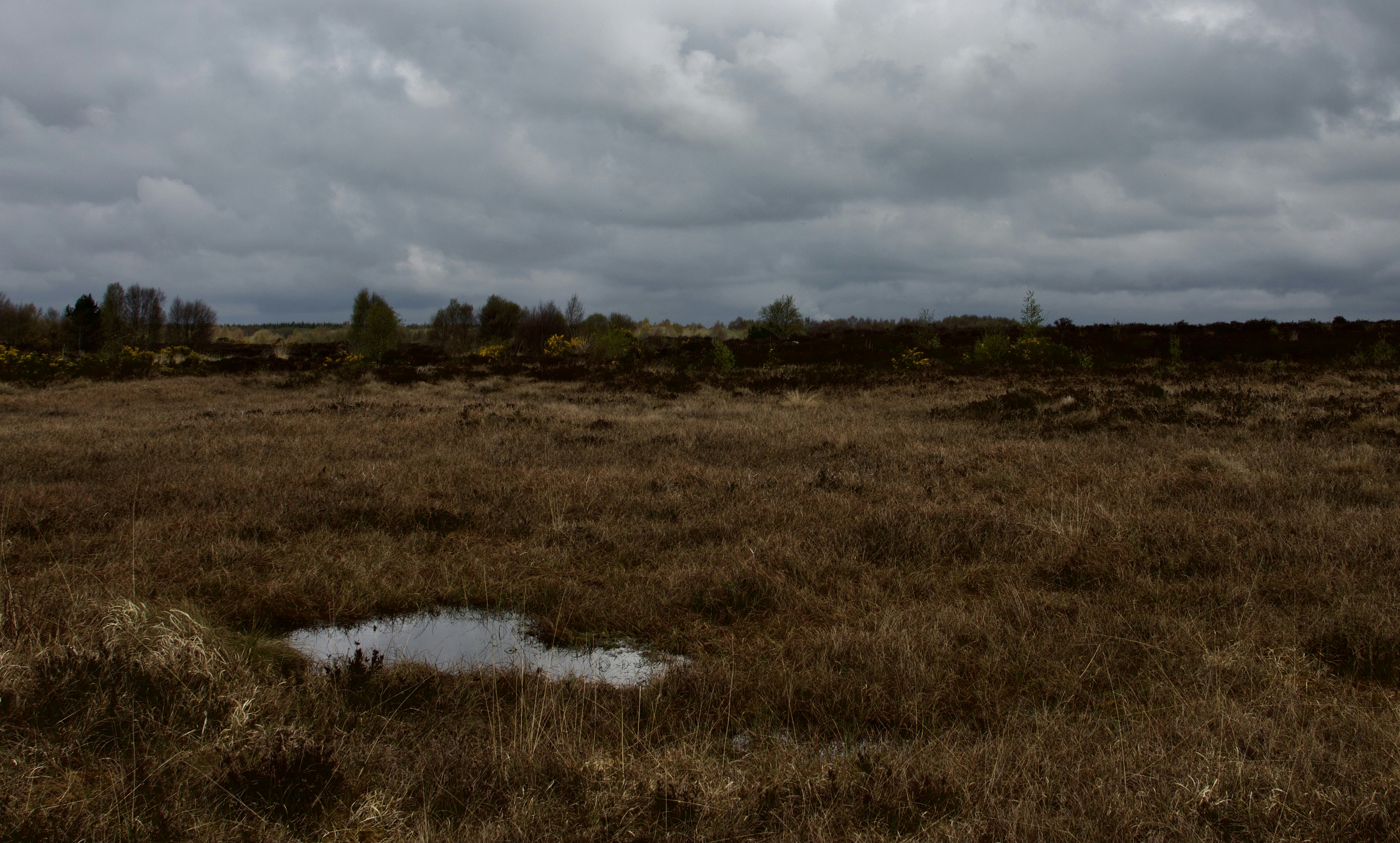 Photo by sheilabeeeee