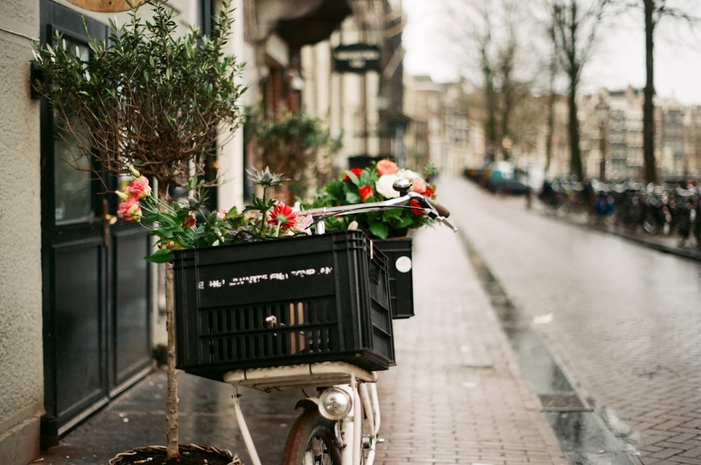 red roses on black bicycle