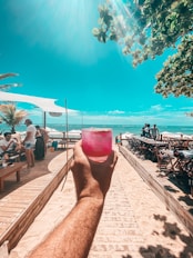 people on beach during daytime