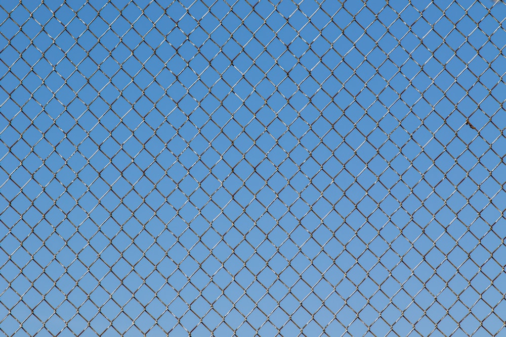 blue and white net during daytime