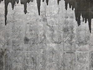 Team members inspecting a basement wall with waterproofing membranes installed