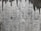A textured concrete wall with dark water stains creating irregular patterns that resemble icicles or stalactites. The wall's surface features various shades of gray with a rough, aged appearance.