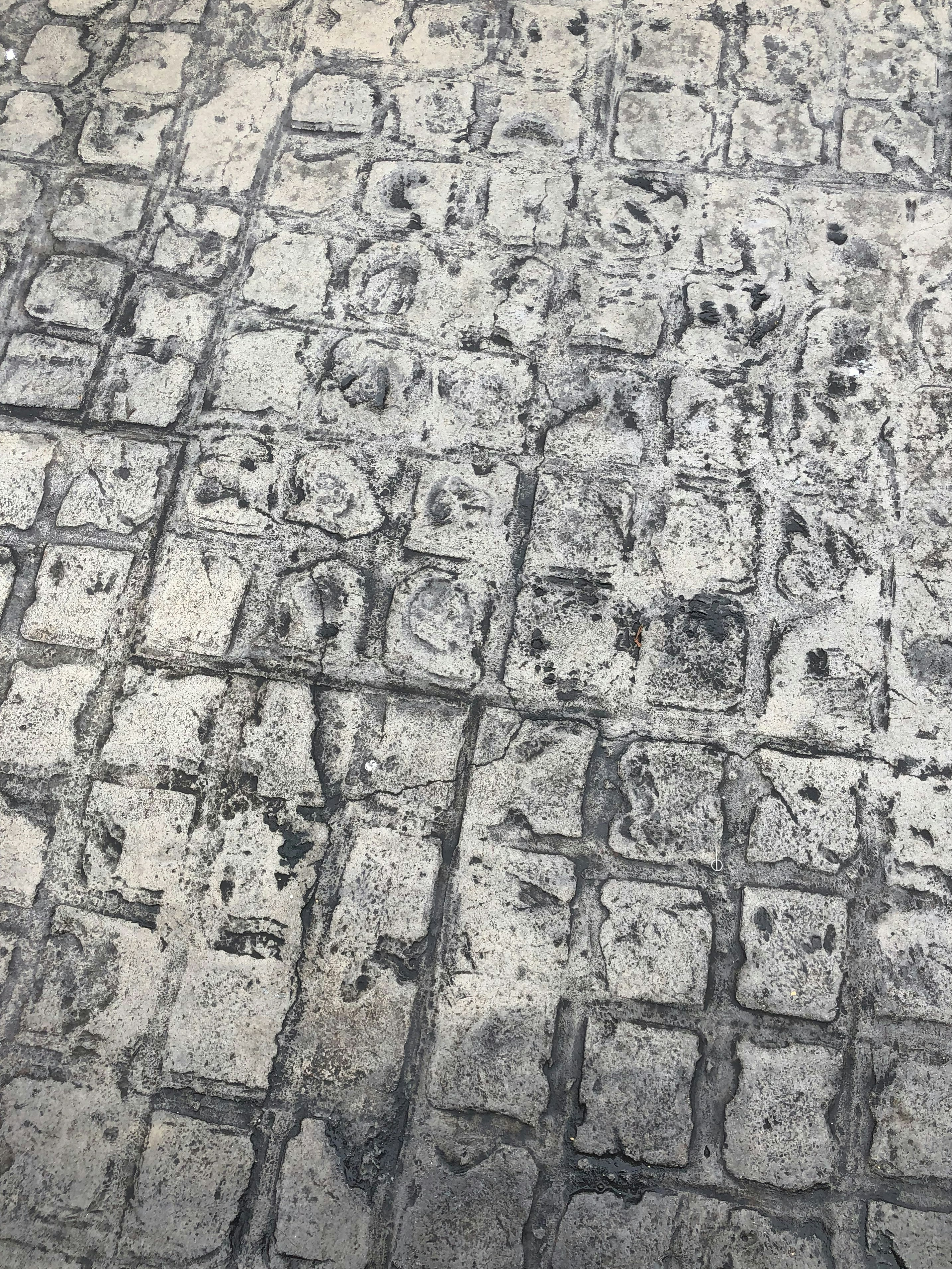 Stamped concrete driveway