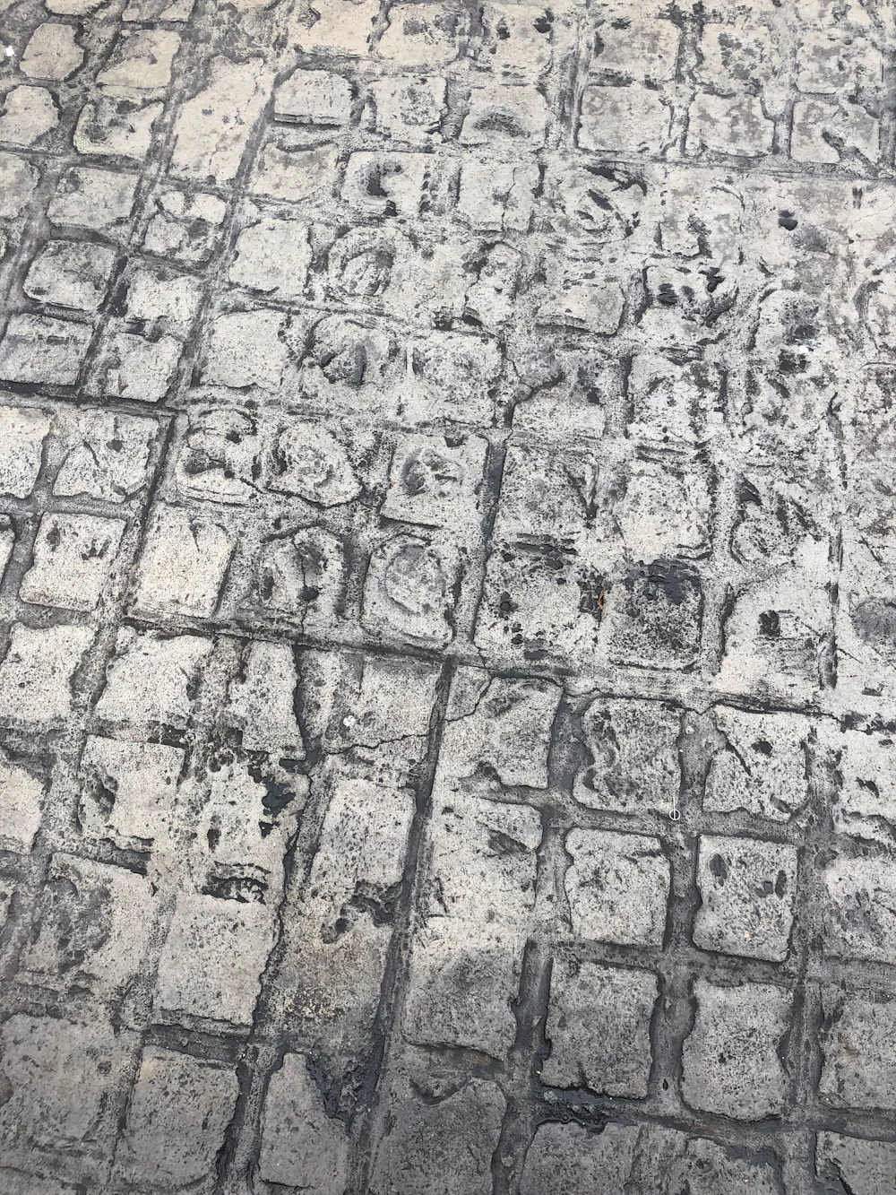 Pavimento de hormigón desactivado con árido visto en un camino exterior de Madrid